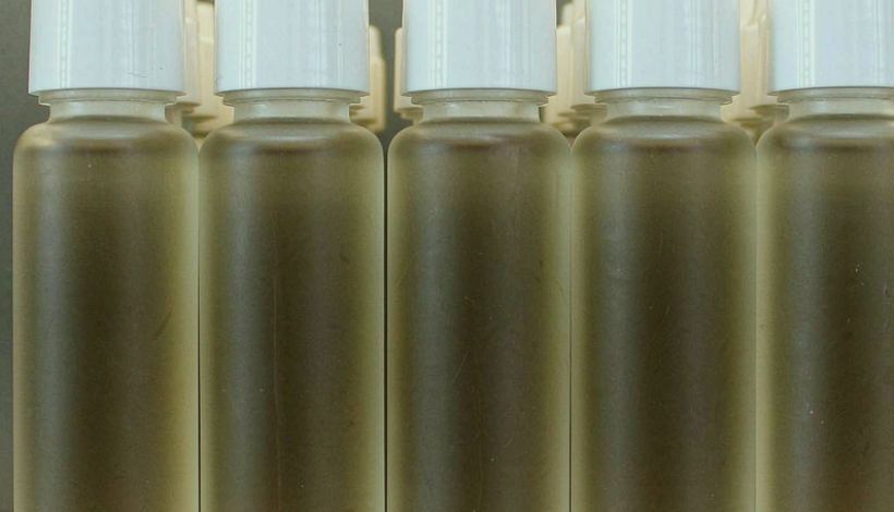 Freight Options for Vape Shops — Annual Fixed Vape Trade — Annual Fixed Vape Supply Contract Bulk