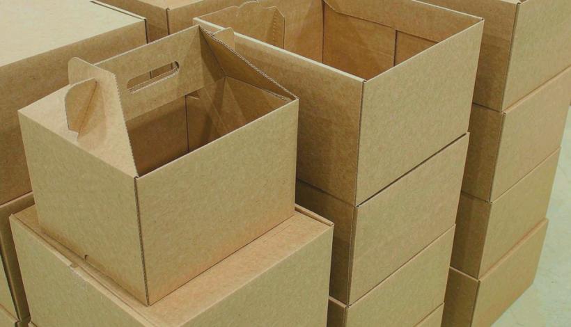 Annual Fixed Vape packaging detail